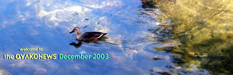 2003年12月：夙川を泳ぐカモ
