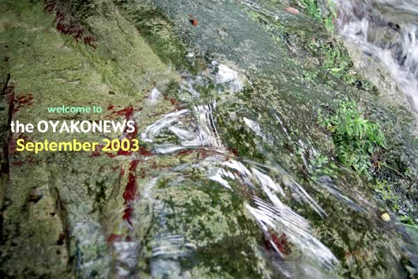 2003年9月：杣谷の流れ